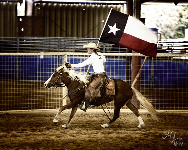 Bluebonnet Expo by Monica Adams