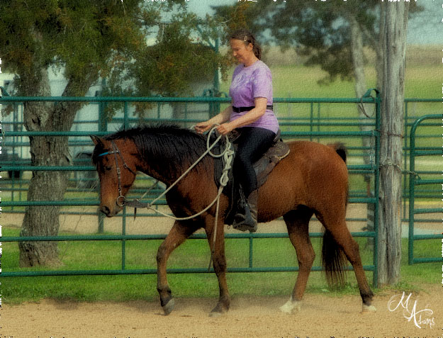 monica adams at Hy Court Farm