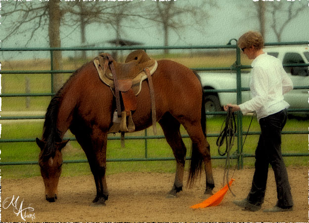 monica adams at Hy Court Farm