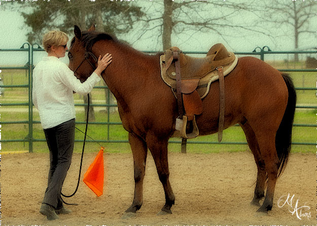 monica adams at Hy Court Farm