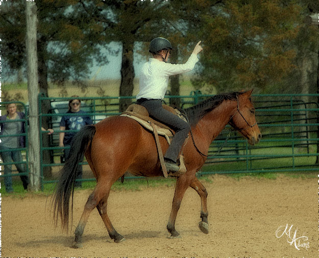 monica adams at Hy Court Farm