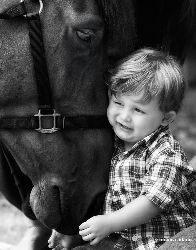 copyright 2013 monica adams