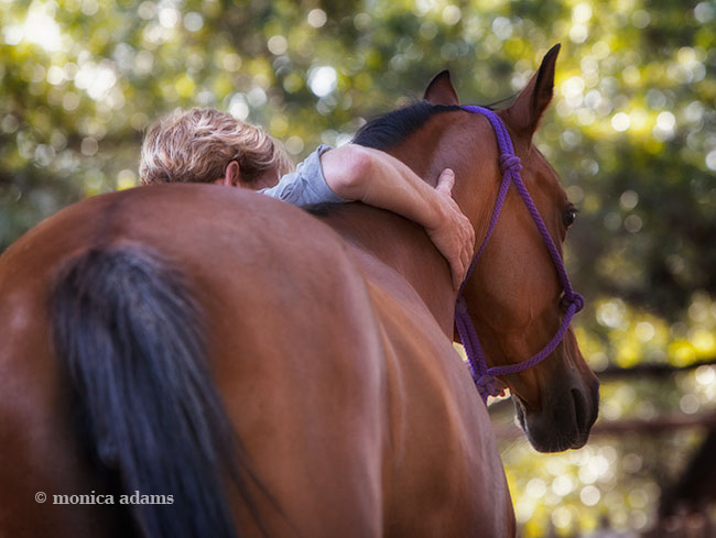 Janet Manley copyright monica adams 2013