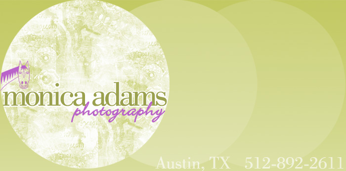 Monica Adams Photography