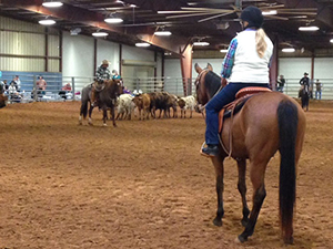 Monica and Guin at a Buck Brannaman clinic