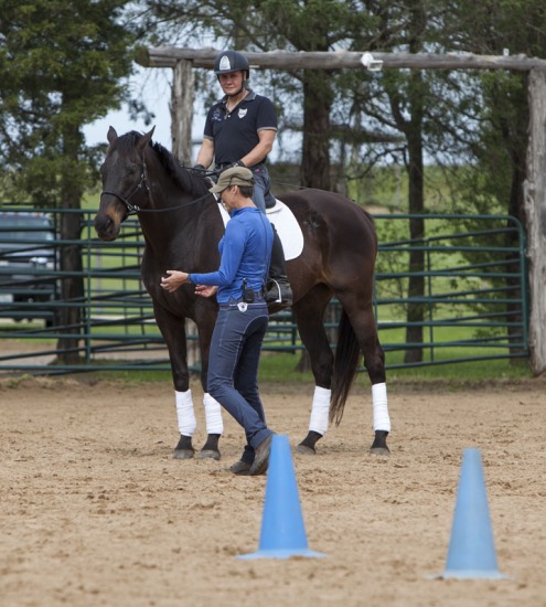 Karen Rohlf, Dressage Naturally