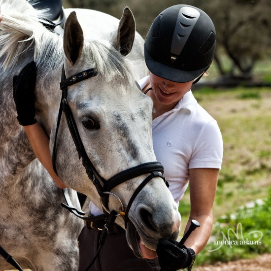 Horses & Their Humans