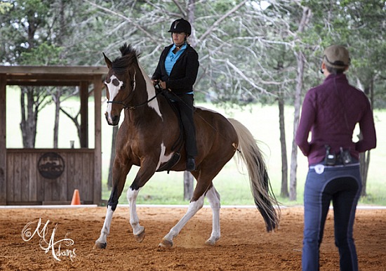 Karen Rohlf - Dressage Naturally