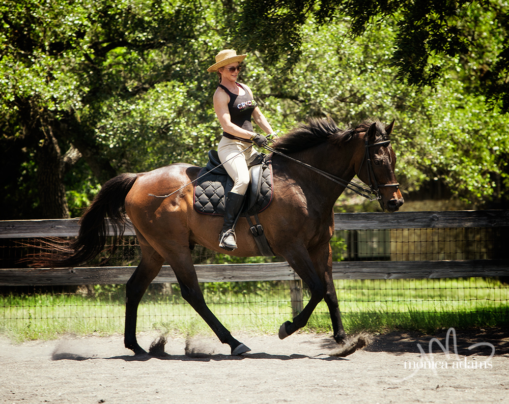 Vermaas Clinic - more photos.... 