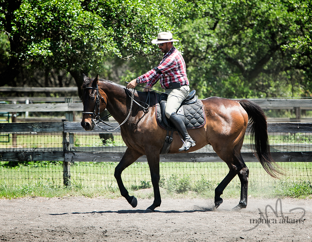 Vermaas Clinic - more photos.... 