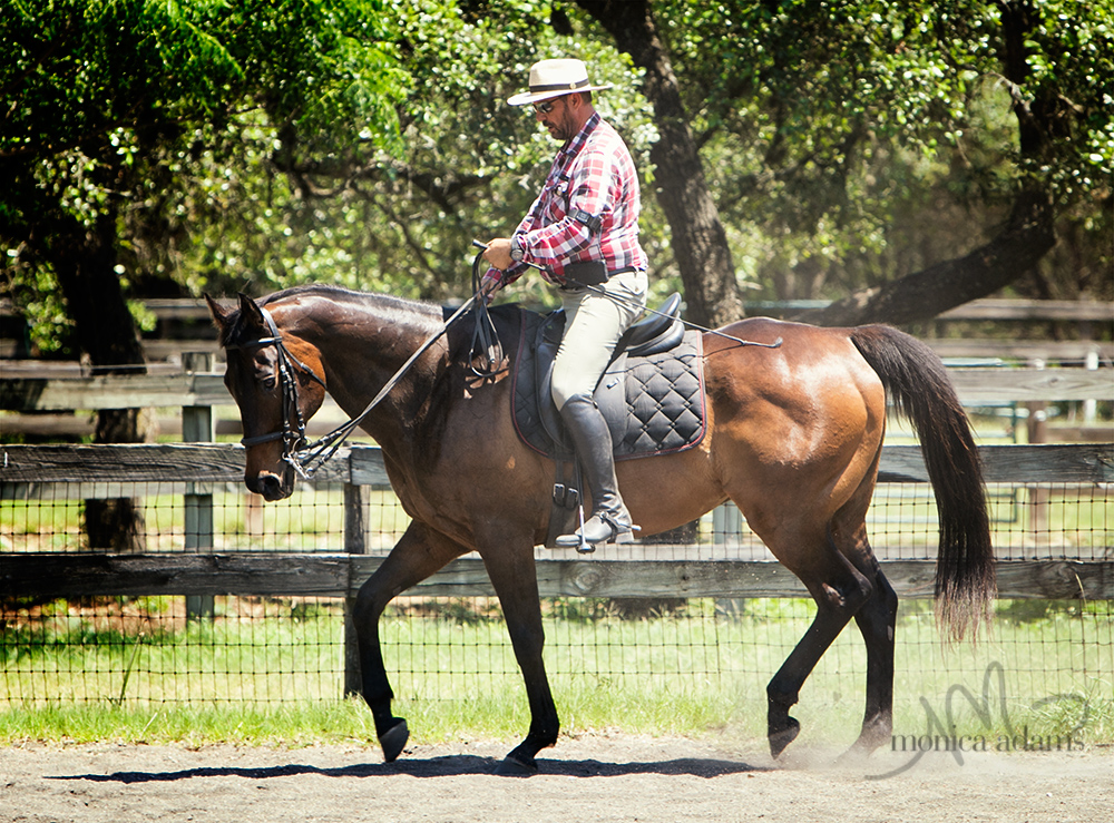 Vermaas Clinic - more photos.... 