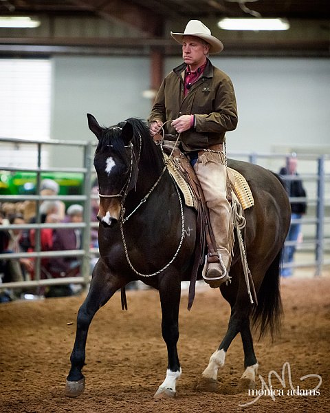 Buck Brannaman by Monica Adams