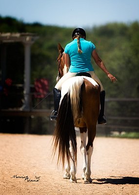 April 2008 Bare Bones Dressage Show - Austin, TX