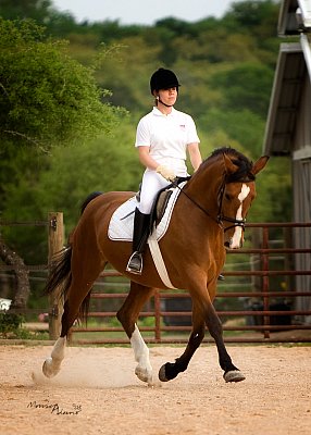 April 2008 Bare Bones Dressage Show - Austin, TX