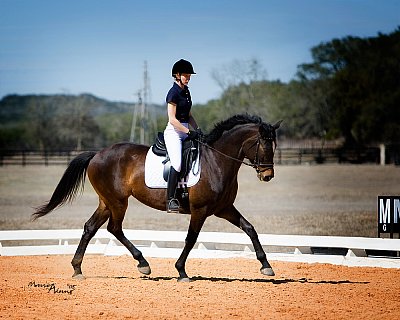 Dressage rider at Indian Creek show - 2008